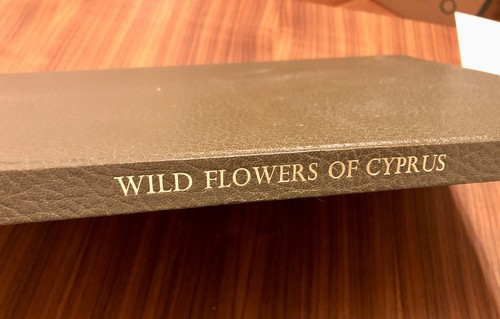 Buch wild flowers - flowers, of