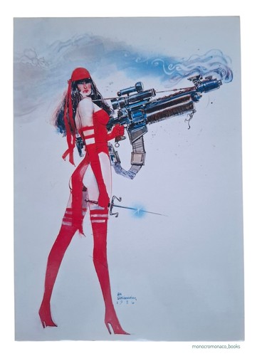 Frank miller elektra assassin - elektra,