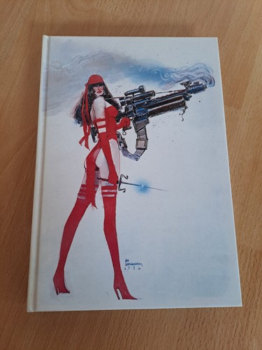 Elektra assassin gesamtausgabe - elektra,