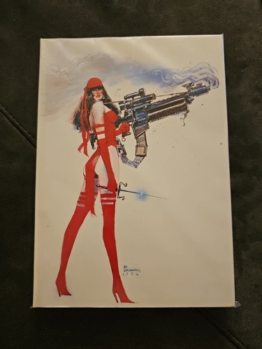 Elektra assassin marvel - sc,