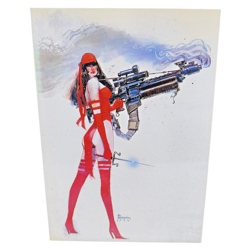 Elektra assassin marvel - assassin,